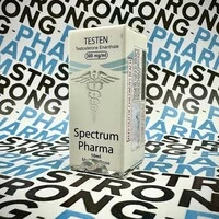 TESTEN (тестостерон энантат) от SPECTRUM