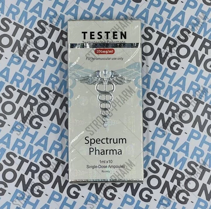 TESTEN (тестостерон энантат) от SPECTRUM