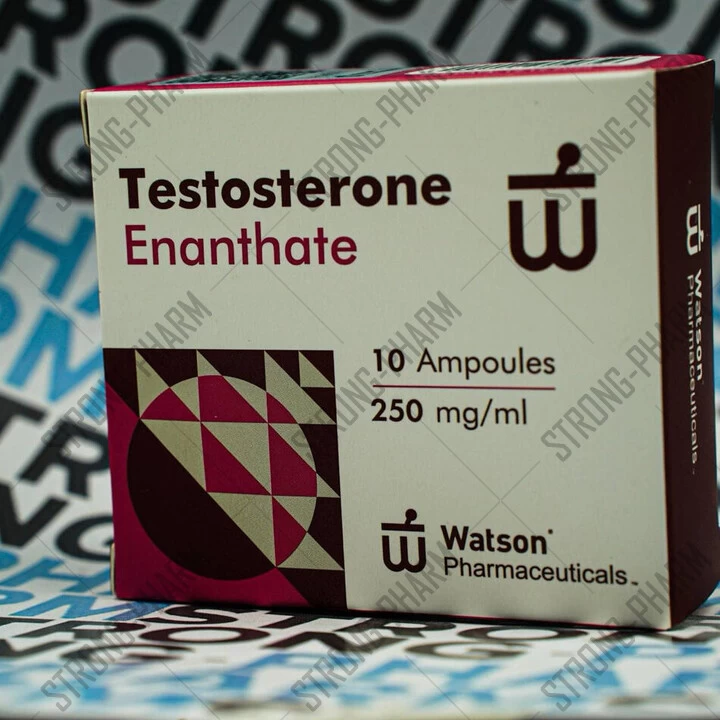 Testosterone Enanthate NEW WATSON 250 мг/мл 10 ампул