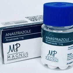 ANASTRAZOLE MAGNUS (просрок) 1мг/таб 25 таб