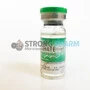 Enanthate SP LABS 250 мг/мл 10 мл